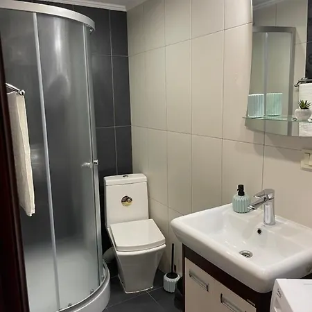 Apartment Near Opera Apartment Lviv