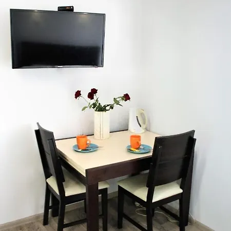 Apartment Near Opera Apartment Lviv