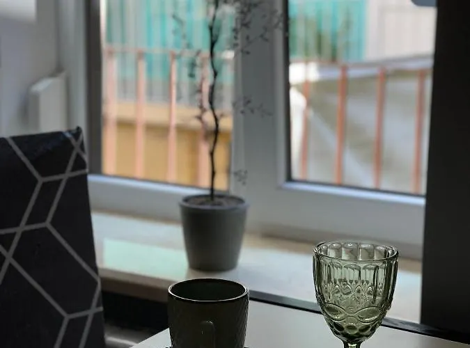 Apartment Near Opera * Lviv